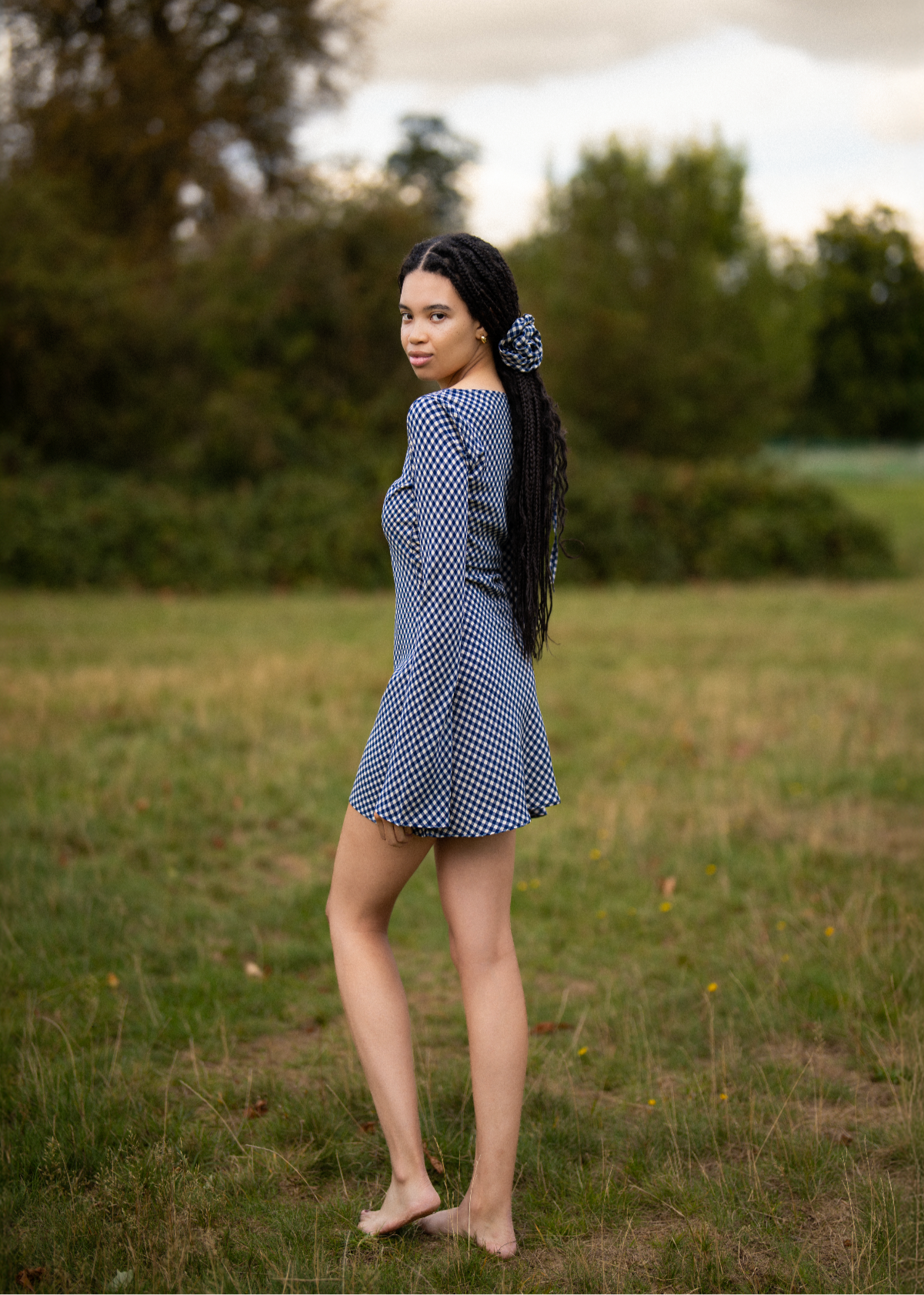 MAISIE Bias Long Sleeve Mini Dress in Blue Gingham