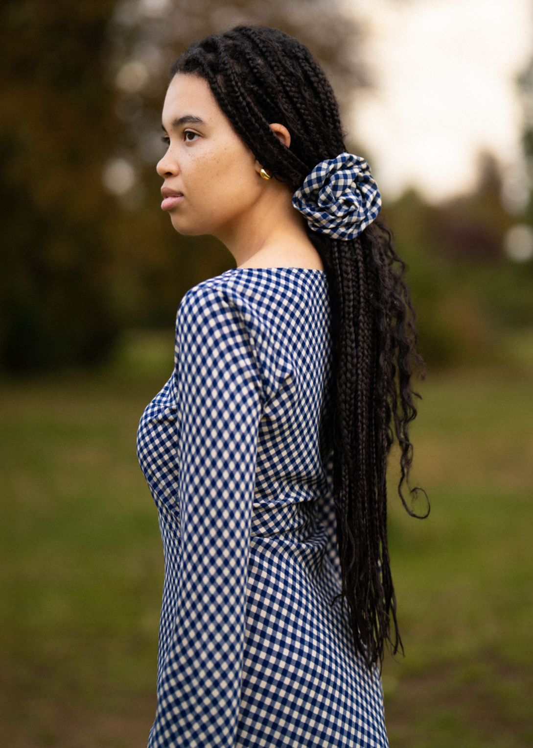 MAISIE Bias Long Sleeve Mini Dress in Blue Gingham